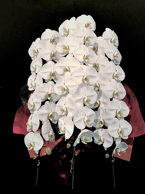 【極‐kiwami‐胡蝶蘭3本立】