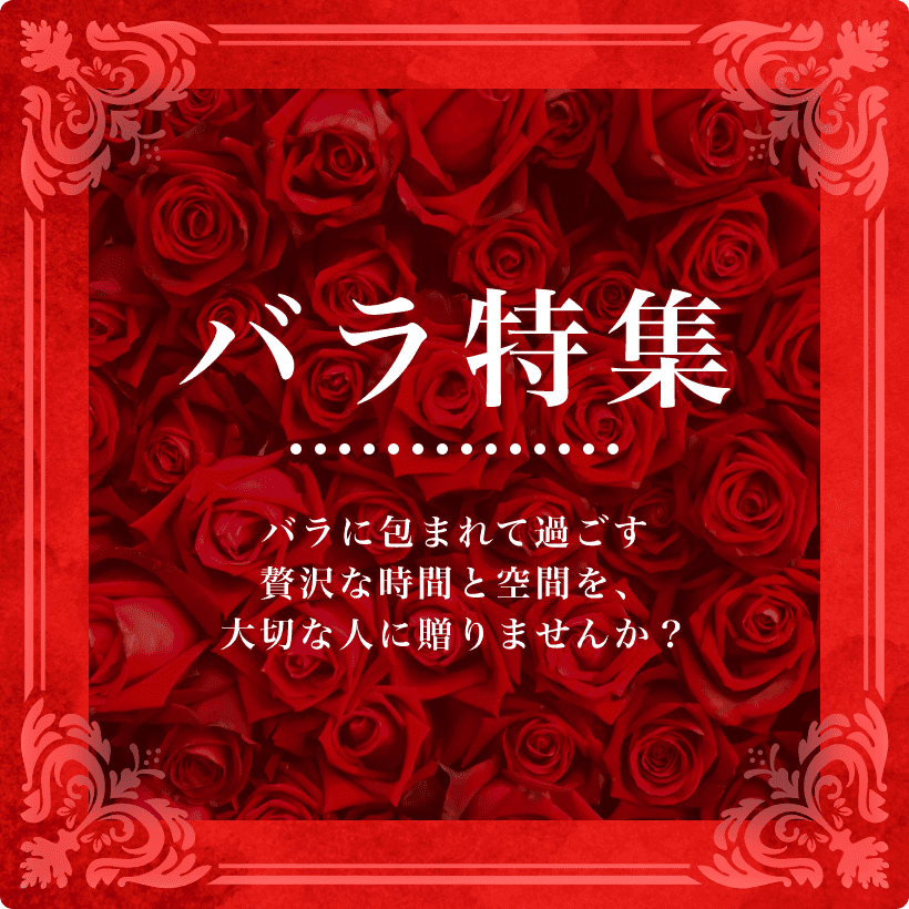 バラ特集