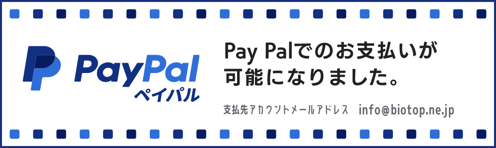 PayPalでのお支払いが可能になりました