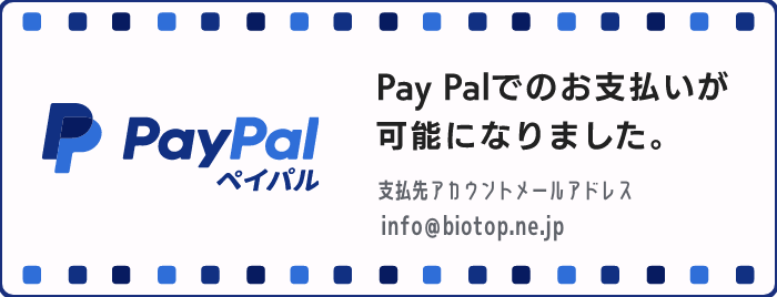 PayPalでのお支払いが可能になりました