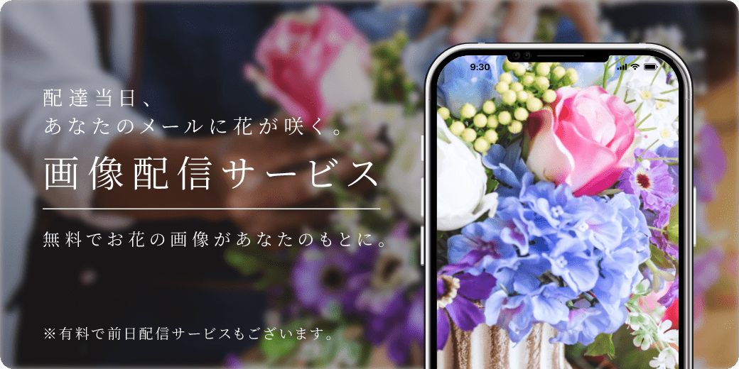 画像配信サービス