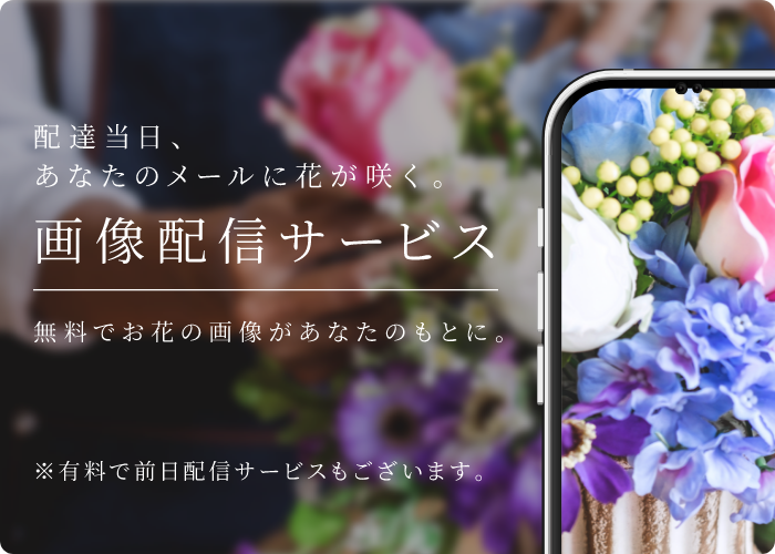 画像配信サービス